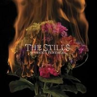 The Stills - Without Feathers