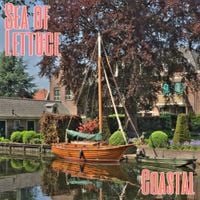 Sea Of Lettuce - COASTAL