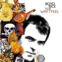 Boyd Rice - The Way I Feel