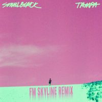 Small Black - Tampa (FM Skyline Remix) (7" Version)
