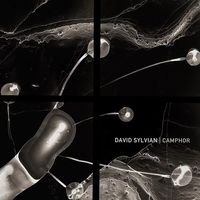 David Sylvian - Camphor