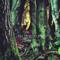David Sylvian - Manafon