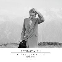 David Sylvian - A Victim of Stars 1982-2012