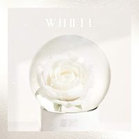 THE BOYZ - WHITE