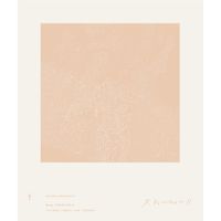 Haruka Nakamura - Still Life II
