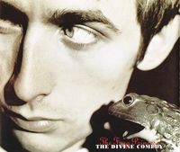 The Divine Comedy - The Frog Princess