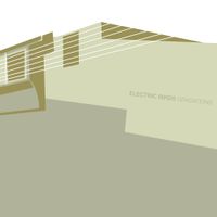 Electric Birds - Gradations