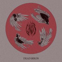 Gnot - Dead Birds