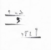 Horaflora - Eaves Drop