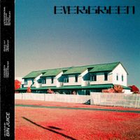 Bin Juice - Evergreen