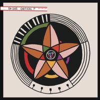 Dr. Dog - Critical 7"