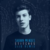Shawn Mendes - Stitches (SeeB Remix)