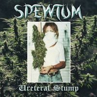 SPEWTUM - URETERAL STUMP