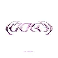 Cookii - blossom