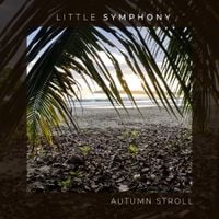 Little Symphony - Autumn Stroll