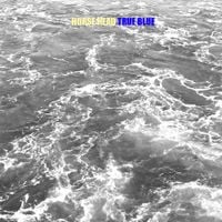 Horse Head - True Blue