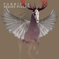 Stacey Pullen - Fabric 14