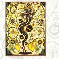 Steve Earle - I Feel Alright