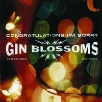 Gin Blossoms - Congratulations I'm Sorry