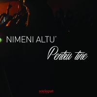 Nimeni Altu' - Pentru Tine
