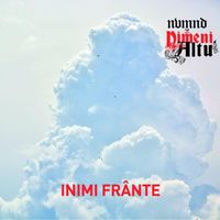 Nvmnd X Nimeni Altu' - Inimi Fr&acirc;nte