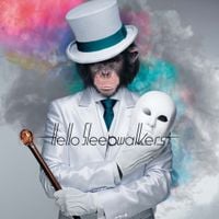 Hello Sleepwalkers - Masked Monkey Awakening