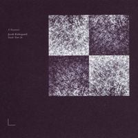 Jacob Kirkegaard - 4 Rooms