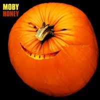 Moby - Honey