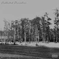 Chetta - Polluted Paradise