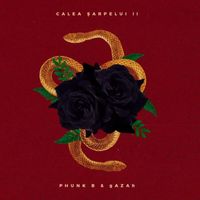 Phunk B X GAZAh - Calea Șarpelui Vol. 2