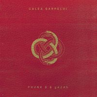 Phunk B X GAZAh - Calea Șarpelui