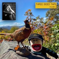 Lil Ugly Mane - Three Sided Tape Volume TWO