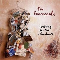 The Raincoats - Looking in the Shadows