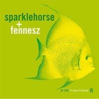 Sparklehorse & Fennesz - In The Fishtank 15