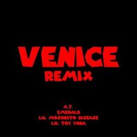 Emerald, A.J., Lil Mosquito Disease & Lil Toy Yoda - VENICE REMIX