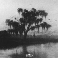 Vide - Hanging by the Bayou Light