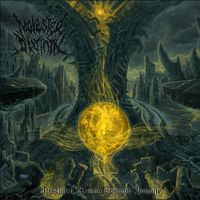Molested Divinity - Desolated Realms Through Iniquity