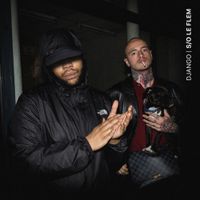 Django - S/O le Flem