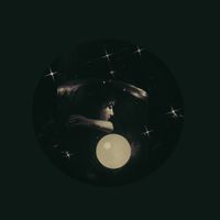 Salami Rose Joe Louis - Chapters of Zdenka