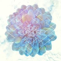 A Sense Of Purpose - Zoetic