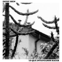 Estoy Bien - Lo Que Intentamos Hacer