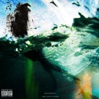 Pink Siifu & Foisey - balance[water]