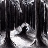 Havukruunu - Havulinnaan