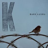 Kaos - kARMA