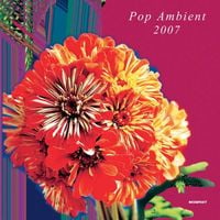 Various Artists - Pop Ambient 2007