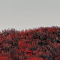 Bather - Phantom Guilt