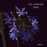 Various Artists - Pop Ambient 2004