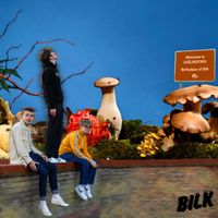 Bilk - Stop Pranging Out