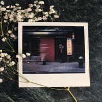 Cathedral Bells - Invisible
