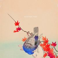 Matthew Thirlwell - Flowerbed